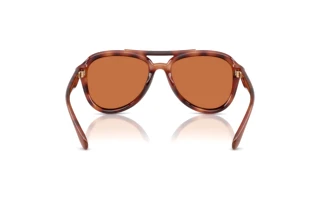 [glasses-back-view] Coach CW183 (HC8406U - 577473)