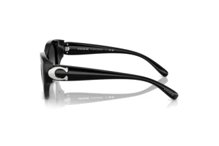 [glasses-side-view] Coach CW194 (HC8407U - 50023C)