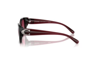[glasses-side-view] Coach CW194 (HC8407U - 53938H)