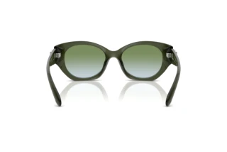 [glasses-back-view] Coach CW194 (HC8407U - 584017)