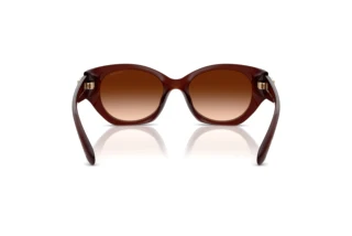 [glasses-back-view] Coach CW194 (HC8407U - 584174)