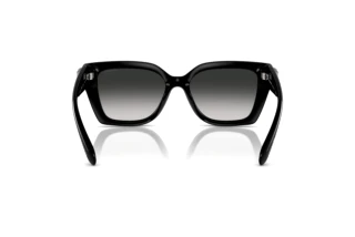 [glasses-back-view] Coach CW195 (HC8408U - 50023C)