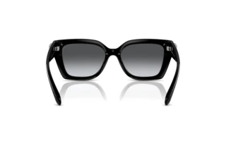 [glasses-back-view] Coach CW195 (HC8408U - 5002T3)