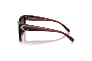 [glasses-side-view] Coach CW195 (HC8408U - 53938H)