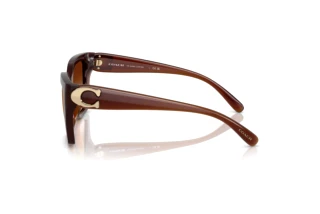 [glasses-side-view] Coach CW195 (HC8408U - 584174)