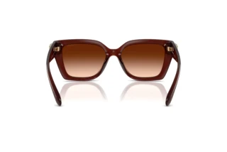 [glasses-back-view] Coach CW195 (HC8408U - 584174)