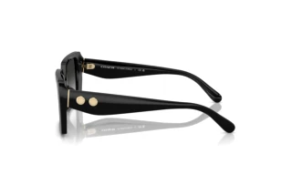 [glasses-side-view] Coach CW224 (HC8409U - 50023C)