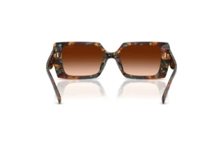 [glasses-back-view] Coach CW224 (HC8409U - 584474)