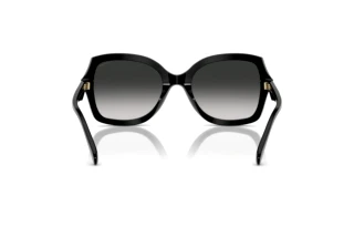 [glasses-back-view] Coach CW225 (HC8410U - 50023C)