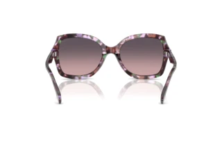 [glasses-back-view] Coach CW225 (HC8410U - 584346)