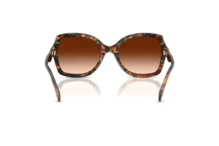 [glasses-back-view] Coach CW225 (HC8410U - 584474)