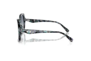 [glasses-side-view] Coach CW225 (HC8410U - 584535)
