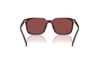 [glasses-back-view] Coach CW405 (HC8411U - 585075)