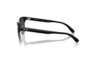[glasses-side-view] Coach CW406 (HC8412 - 500287)
