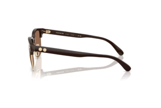 [glasses-side-view] Coach CW406 (HC8412 - 554273)