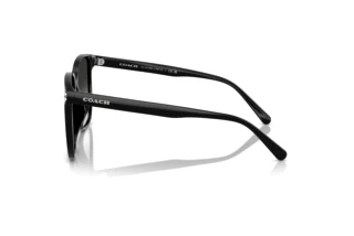 [glasses-side-view] Coach CW419 (HC8413BD - 50023C)