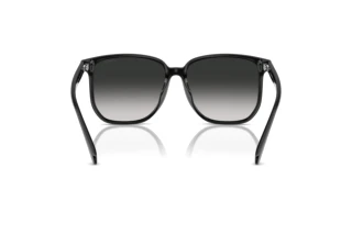 [glasses-back-view] Coach CW419 (HC8413BD - 50023C)