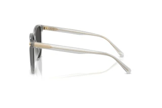 [glasses-side-view] Coach CW419 (HC8413BD - 561487)