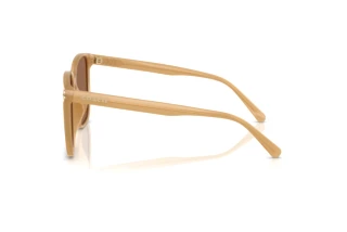 [glasses-side-view] Coach CW419 (HC8413BD - 585473)