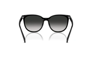 [glasses-back-view] Coach CW428 (HC8414BD - 50023C)