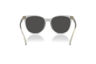 [glasses-back-view] Coach CW428 (HC8414BD - 561487)