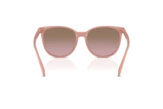 [glasses-back-view] Coach CW428 (HC8414BD - 583914)