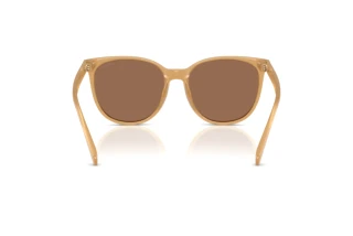 [glasses-back-view] Coach CW428 (HC8414BD - 585473)