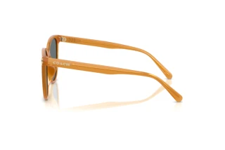 [glasses-side-view] Coach CW428 (HC8414BD - 585580)