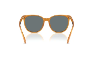 [glasses-back-view] Coach CW428 (HC8414BD - 585580)