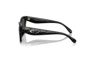 [glasses-side-view] Coach CAD18 (HC8418U - 500287)