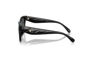 [glasses-side-view] Coach CAD18 (HC8418U - 5002T3)