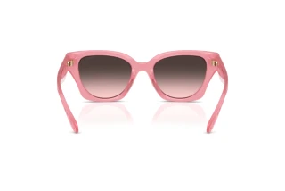 [glasses-back-view] Coach CAD18 (HC8418U - 589646)