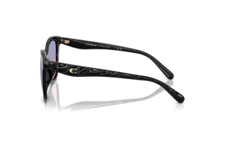 [glasses-side-view] Coach CAD25 (HC8419U - 500218)