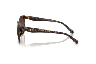 [glasses-side-view] Coach CAD25 (HC8419U - 5120T5)