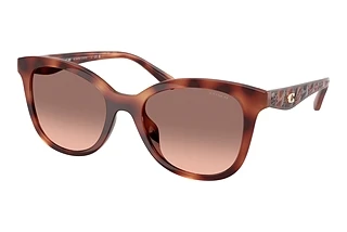 Coach HC8419U 577413 Brown Pink GradientCaramel Tortoise