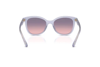 [glasses-back-view] Coach CAD25 (HC8419U - 5873I6)