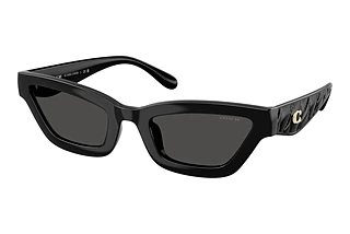 Coach CAD28 HC 8420U 500287