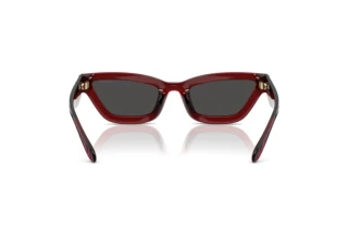 Vy bakifrån Coach CAD28 (HC8420U - 587487)