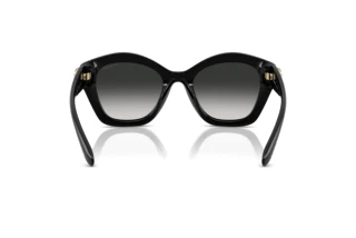 [glasses-back-view] Coach CAD31 (HC8421U - 50023C)