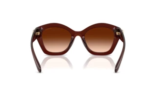 Πίσω όψη Coach CAD31 (HC8421U - 584174)