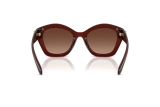 Πίσω όψη Coach CAD31 (HC8421U - 5841T5)