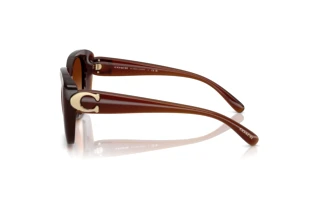 [glasses-side-view] Coach CAD33 (HC8422U - 584174)