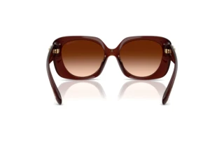 [glasses-back-view] Coach CAD33 (HC8422U - 584174)