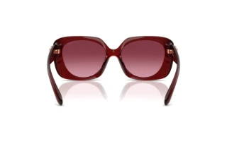 [glasses-back-view] Coach CAD33 (HC8422U - 58708H)