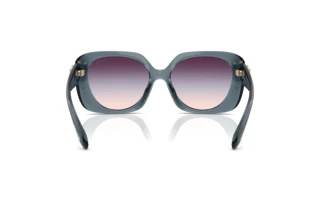 [glasses-back-view] Coach CAD33 (HC8422U - 5871U7)