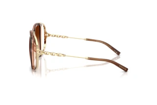 [glasses-side-view] Coach CAD80 (HC8423U - 576974)