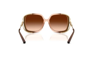 [glasses-back-view] Coach CAD80 (HC8423U - 576974)