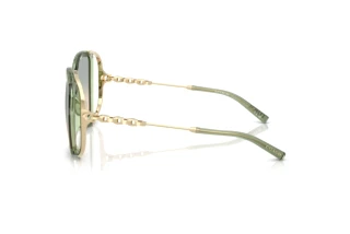 [glasses-side-view] Coach CAD80 (HC8423U - 58902C)