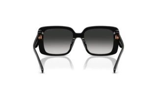 [glasses-back-view] Coach CAD54 (HC8424U - 50023C)