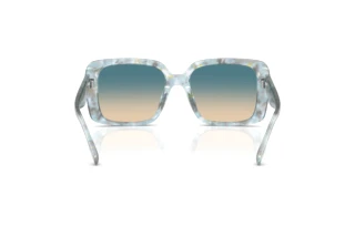 [glasses-back-view] Coach CAD54 (HC8424U - 58664M)